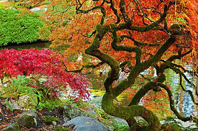 《千变的迷宫 风来的希炼6 蛇蜷岛探险谭》Steam页面上线 支持中文