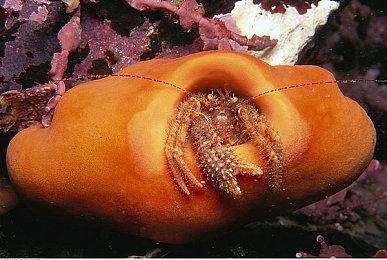 《三体》动画今日开播 首日两集连播